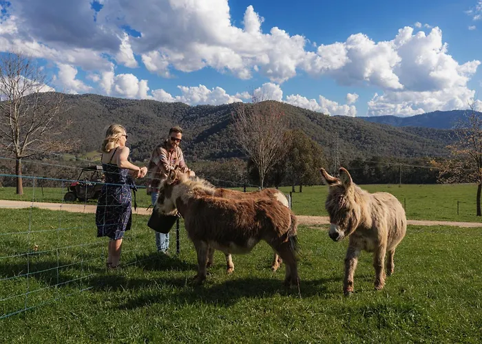 Deep Creek Farmstay
