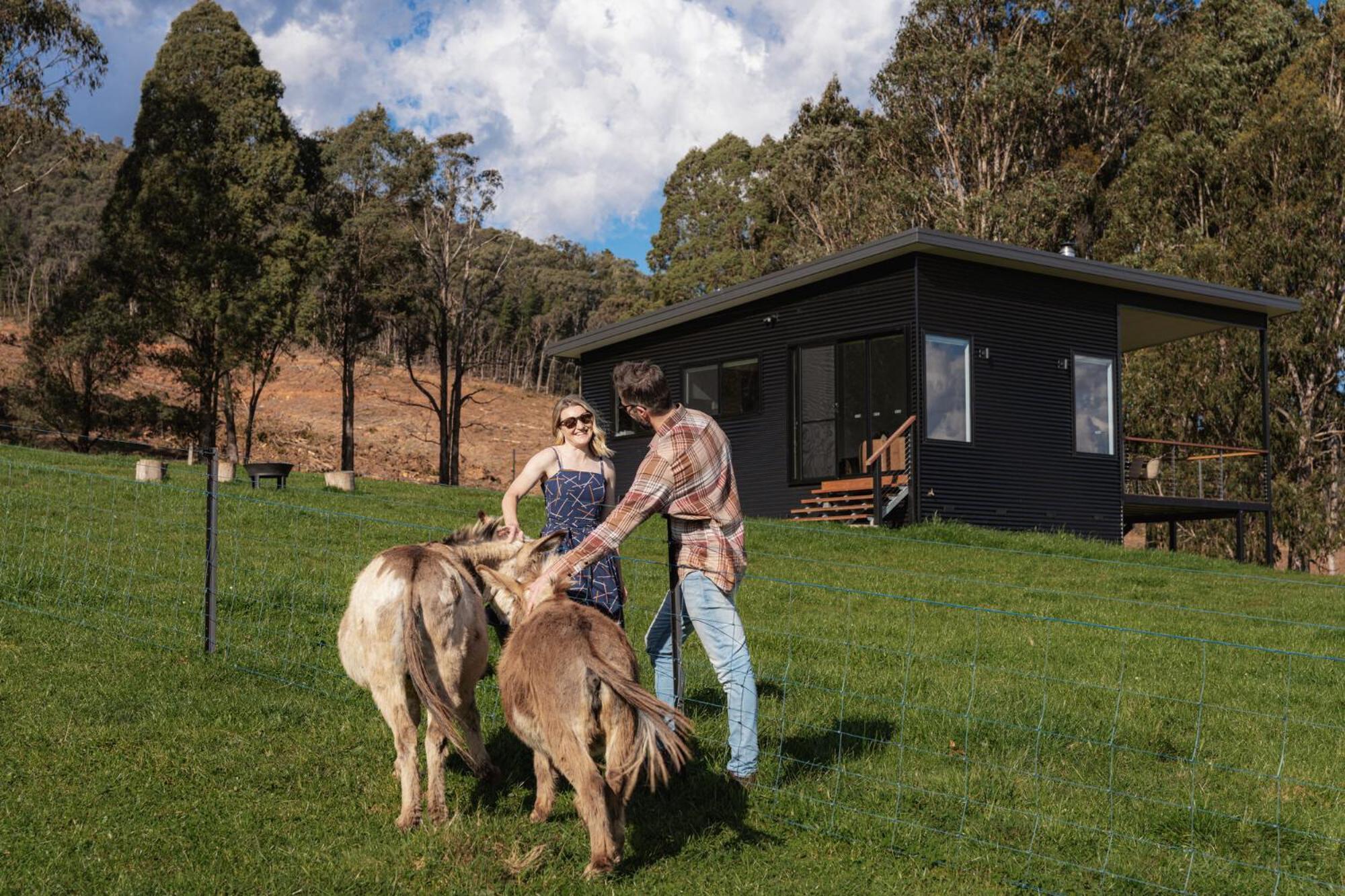 Deep Creek Holiday home